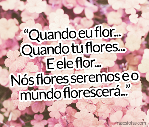 Frases de flores - Frases de flor - Frase de flor - Frase de flores