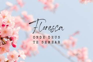 Frases sobre primavera - floresça onde Deus te semear (1)